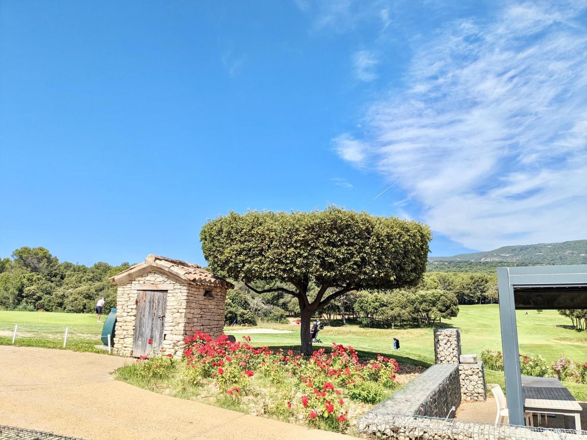 Allura Golf *